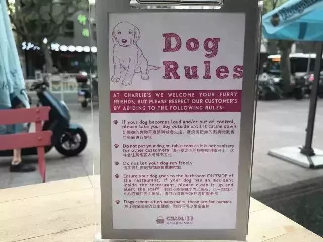 魔都最受欢迎的允许带宠物入住的餐厅推荐(图12) 带宠物上咖啡馆共度好时光_宠物咖啡店养什么宠物_dirtycafe宠物咖啡馆