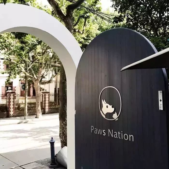 魔都最受欢迎的允许带宠物入住的餐厅推荐(图28) 宠物咖啡店养什么宠物_dirtycafe宠物咖啡馆_带宠物上咖啡馆共度好时光