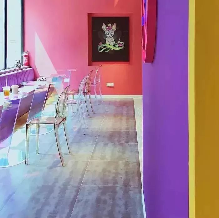 魔都最受欢迎的允许带宠物入住的餐厅推荐(图34) 宠物咖啡店养什么宠物_带宠物上咖啡馆共度好时光_dirtycafe宠物咖啡馆