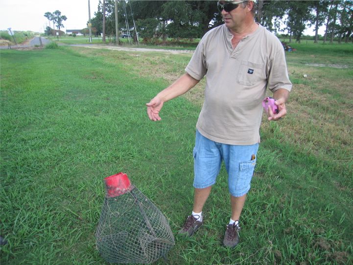 西餐莲藕 小龙虾从美国到江苏的旅程:非它选择而是我们的选择(图7) 图片
