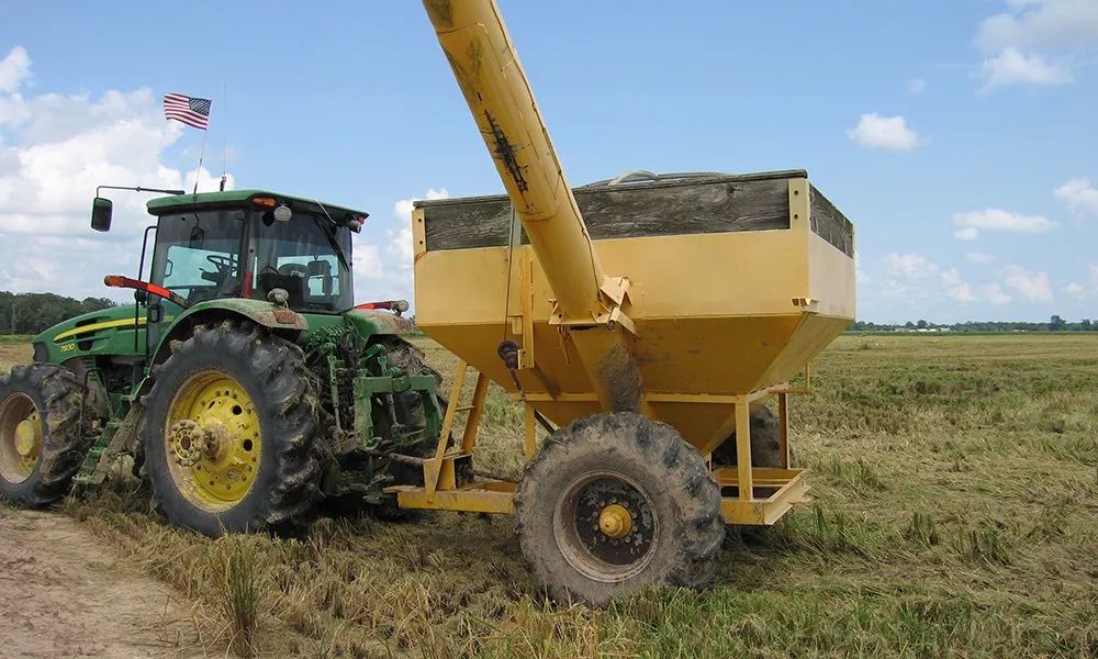 西餐莲藕 小龙虾从美国到江苏的旅程:非它选择而是我们的选择(图8) 图片