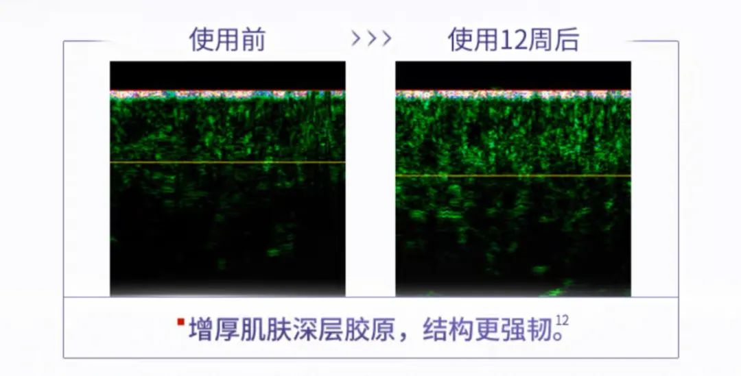 生活的新技能是什么电影_技能生活解析_技能与生活