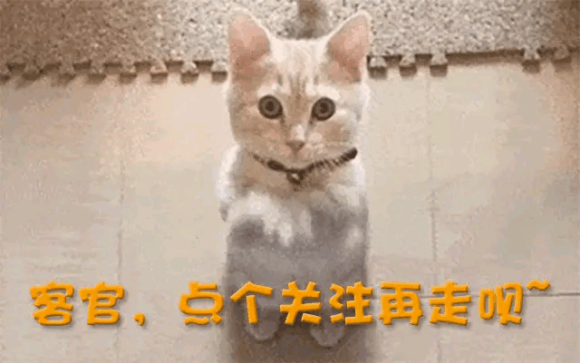 林志颖家_林志颖家庭成员_林志颖家庭日常